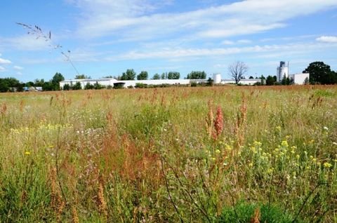 Gardelegen Industrieflächen, Lagerflächen, Produktionshalle, Serviceflächen