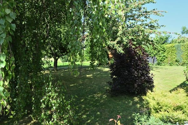 Garten mit schattenspendenden Bäumen