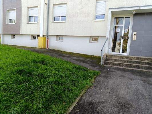 WhatsApp Image 2026-02-02 at 09.12.55.jpeg