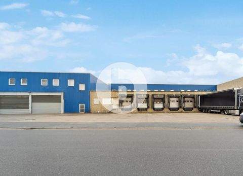 Langenhagen Halle, Langenhagen Hallenfläche