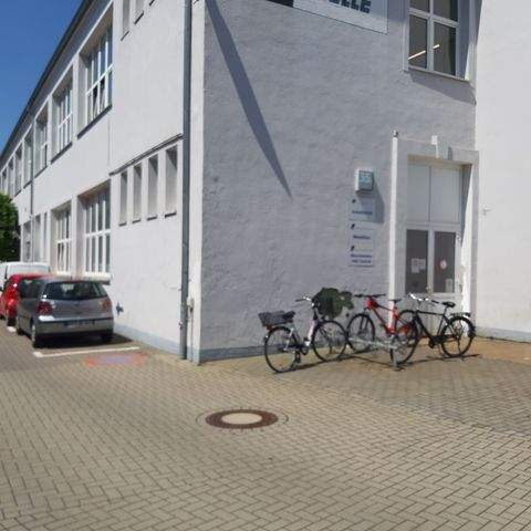 Celle Halle, Celle Hallenfläche