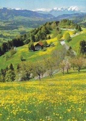 Die Queralpenstraße - Richtung Weiler