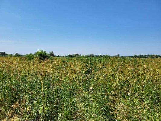 Somogysámson Übersicht 3