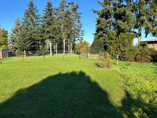 2. Wiese mit Baumbestand.jpg