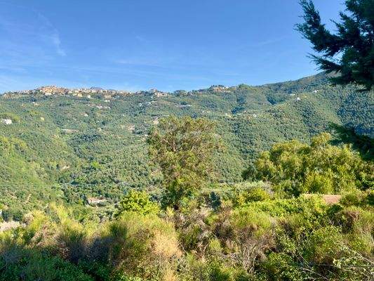 PE982_11 TERRA ITALIA IMMOBILIEN_TERRA ITALIA IMMO