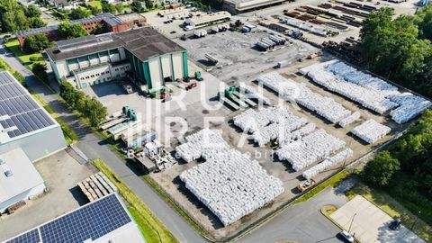 Dorsten Halle, Dorsten Hallenfläche