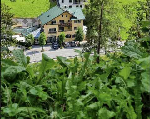 See im Paznauntal Gastronomie, Pacht, Gaststätten