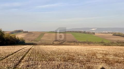 Zillingtal Bauernhöfe, Landwirtschaft, Zillingtal Forstwirtschaft