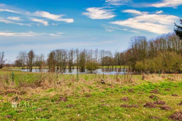 Moorlandschaft hinter dem Grundstück