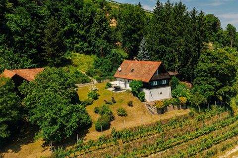 Graßnitzberg Häuser, Graßnitzberg Haus kaufen