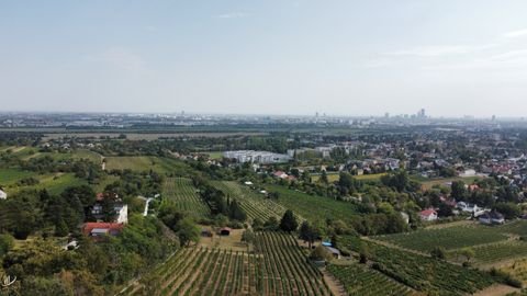 Langenzersdorf Grundstücke, Langenzersdorf Grundstück kaufen