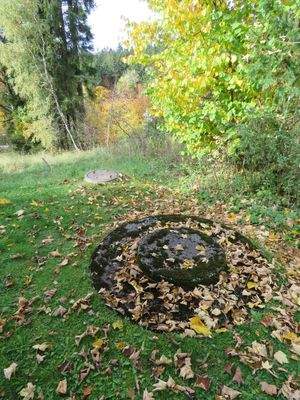 Klärgrube am Waldrand 