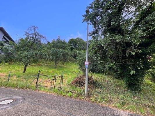 Ansicht Straßenseite