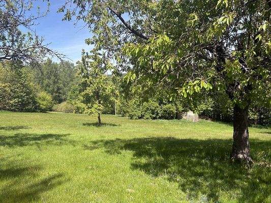 Grün-soweit das Auge reicht