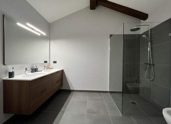 Badezimmer - Visualisierung - Sanierungsvorschlag