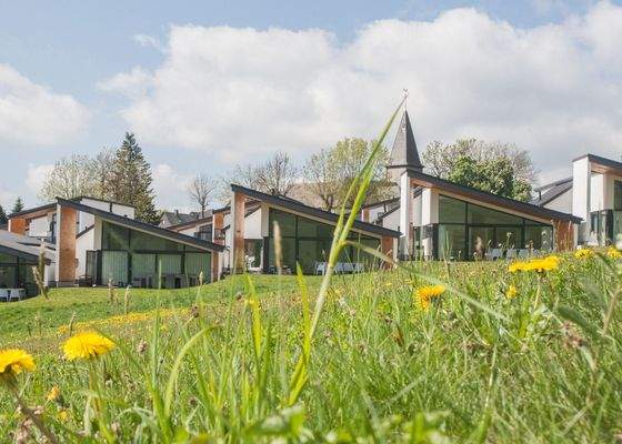 Ferienhaus Winterberg kaufen004