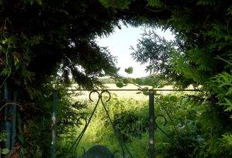 geheimnissvoller Fernblick auf das umliegende Feld  durch den Heckentorbogen
