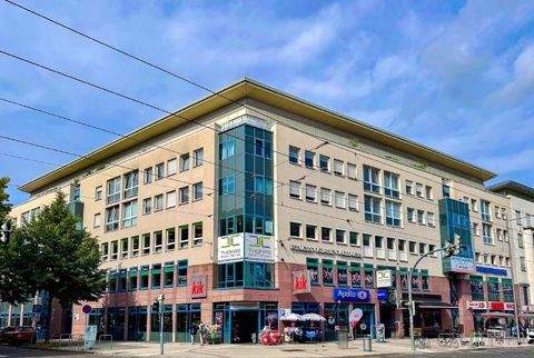 Dresden Ladenlokale, Ladenflächen 