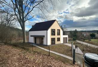 Visualisierung Einfamilienhaus