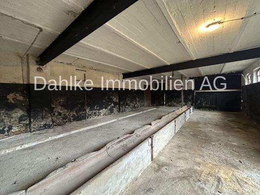 Stallung 3, Bild 1 