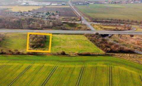 Weißenfels Bauernhöfe, Landwirtschaft, Weißenfels Forstwirtschaft