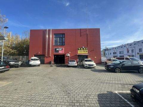 Königswinter / Oberdollendorf Halle, Königswinter / Oberdollendorf Hallenfläche