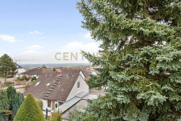 Ausblick von Terrasse OG_CENTURY-A_037_WEB