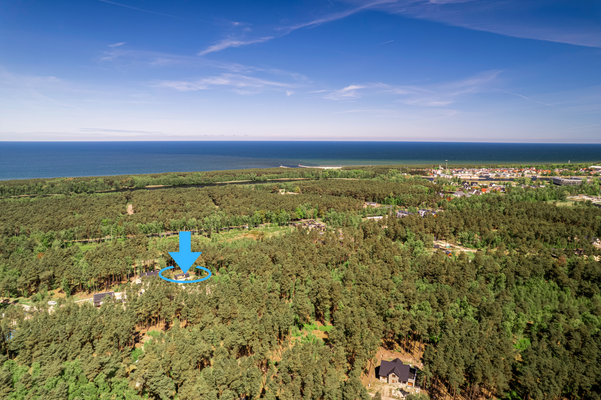 Projekt bez nazwy (5).png