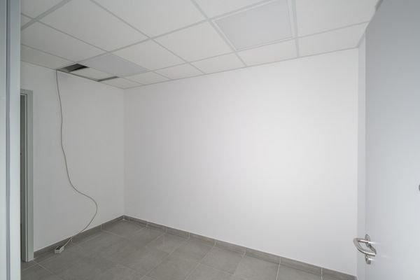 Scheer (4)