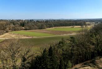 Unverbaubarer Blick ins Grüne