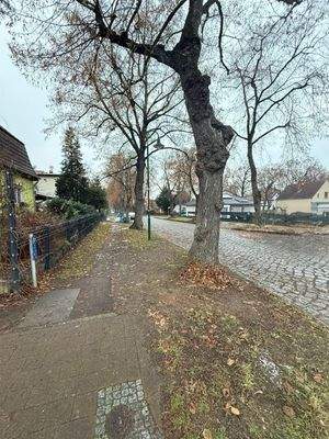 Hausbau mit Town & Country Haus