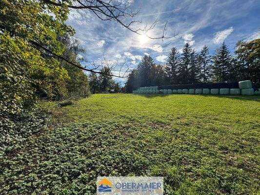 03_Blick_nach_Süden