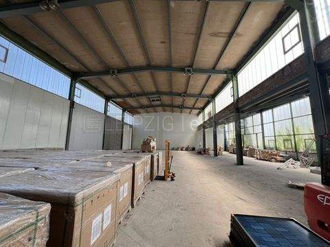 Leipzig / Böhlitz-Ehrenberg Halle, Leipzig / Böhlitz-Ehrenberg Hallenfläche