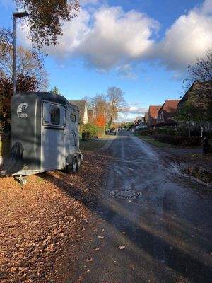 WhatsApp Bild 2025-11-20 um 14.55.50_a6d77006.jpg