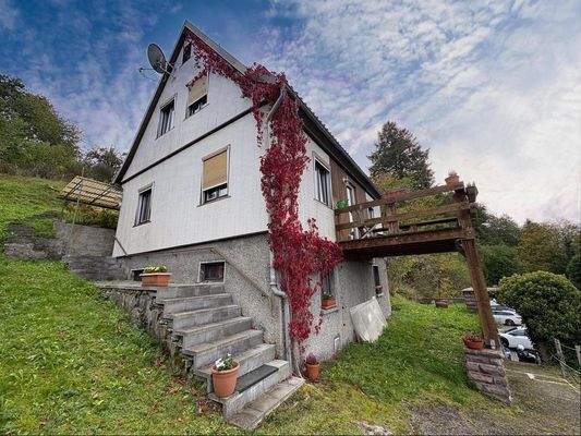 Seitenansicht mit Treppe zum Hauseingang