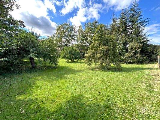 Baugrundstück oder Garten