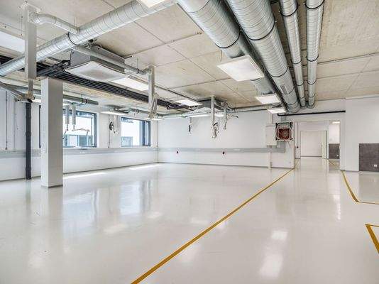 und Absaugvorrichtungen