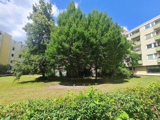 Gärtnerisch gestalteter Hofbereich