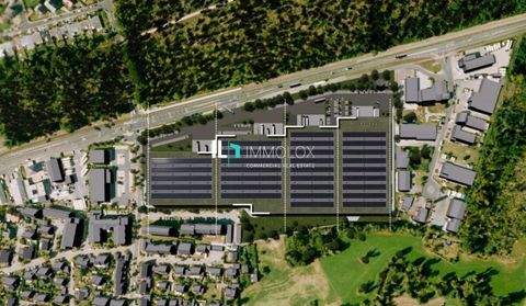 Kahl am Main Halle, Kahl am Main Hallenfläche