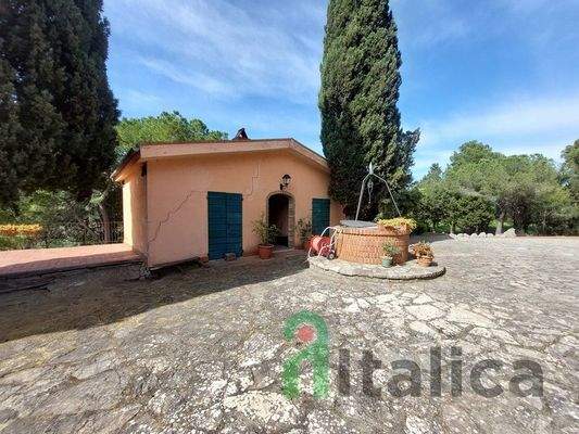 20240417_101551 (Kopie).jpg