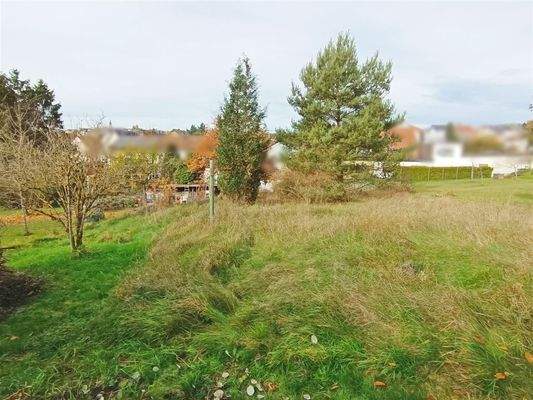 Garten hinterer Teil