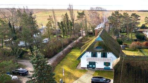 Born Häuser, Born Haus kaufen