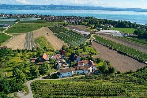 Eriskirch-Moos Gastronomie, Pacht, Gaststätten