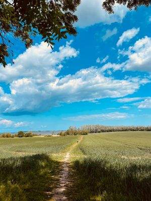 Foto 26.05.25, 13 21 29.jpg