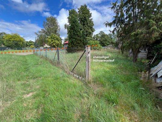 rückwärtiger Garten.jpg