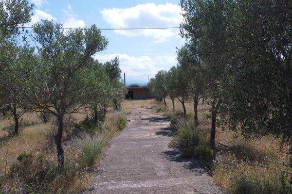 Kreta, Mouzouras: Flaches Grundstück mit Panoramablick zu verkaufen