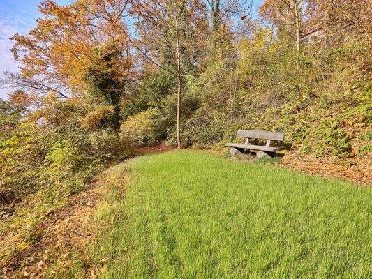 Freisitz (teilweise KI)