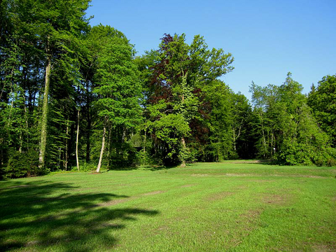 Perchting Bauernhöfe, Landwirtschaft, Perchting Forstwirtschaft