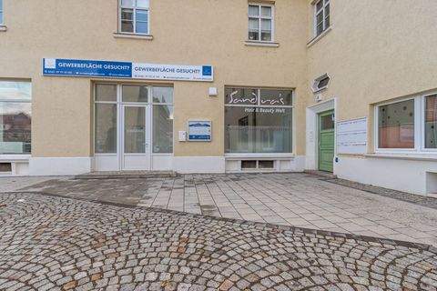 Leuna Ladenlokale, Ladenflächen 