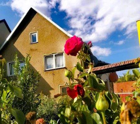 Ansicht Straßenseite